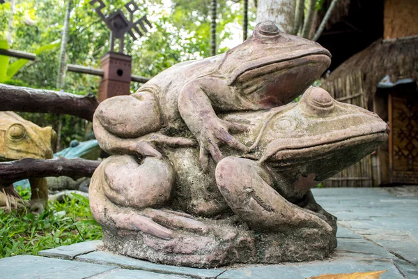 İki kurbağa. Sanya, Hainan, Çin