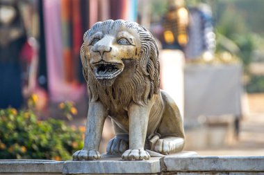 Aslan. Mısır, Kahire