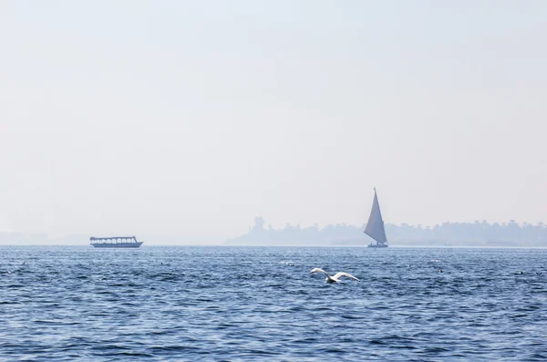 Kızıl Deniz. Mısır