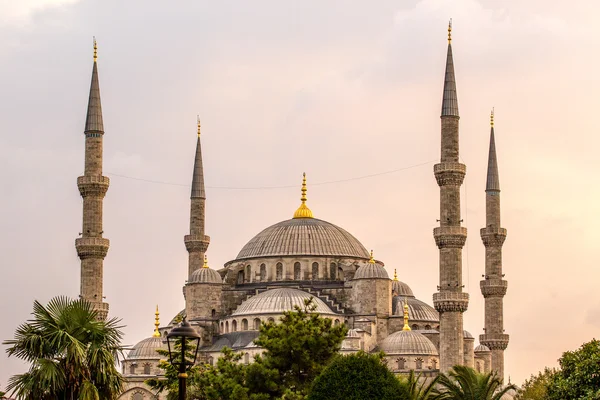 Blue Mosque. Turkey, Istanbul — Stock Photo, Image