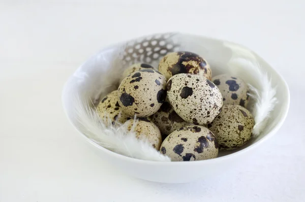 Huevos de codorniz y plumas en tazón blanco sobre la mesa — Foto de Stock