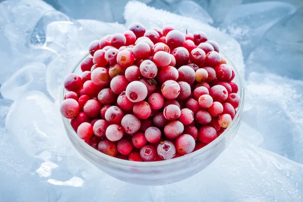 Frysta tranbär i skål på is — Stockfoto