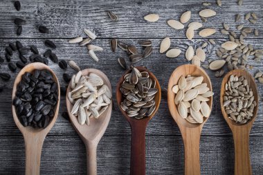 farklı ayçiçeği tohumu ve kabak çekirdeği