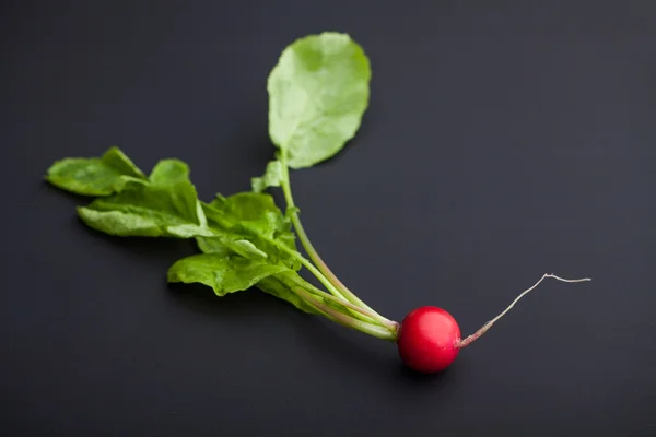 Frische Radieschen auf einem schwarzen — Stockfoto