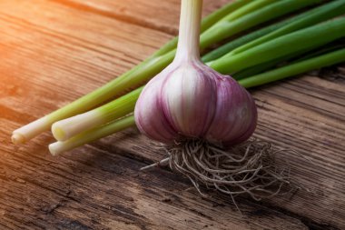 Tahta bir masada soğan ve sarımsak.