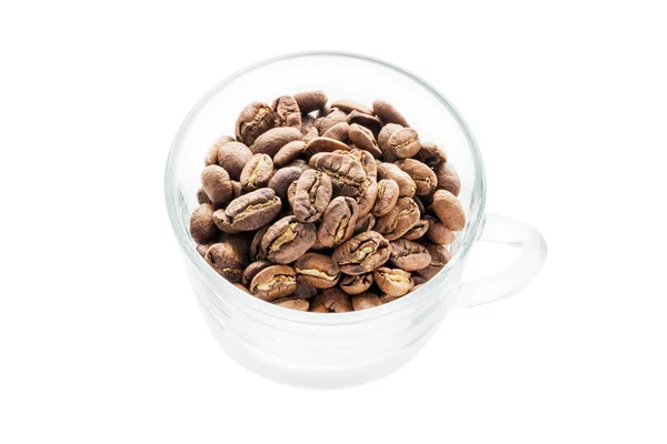 Coffee beans isolated — Stock Photo, Image