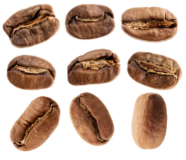 Coffee beans isolated in white — Stock Photo, Image