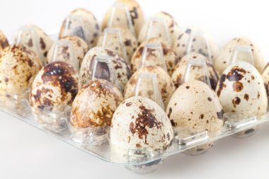 Bıldırcın yumurtası beyaz şeffaf plastik kapsayıcı