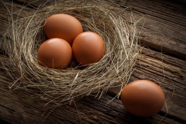 Kahverengi koyu ahşap arka plan üzerinde yuvadaki yumurta