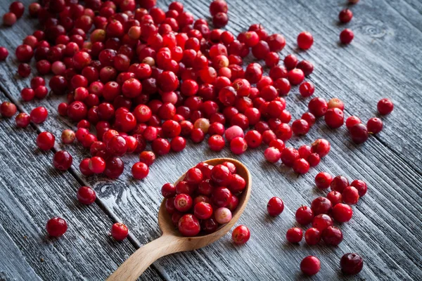 Fresh cranberry (cowberry) on old wooden background — Stock Photo, Image