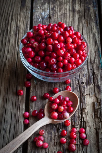 Frische Preiselbeere (Preiselbeere) auf Holzgrund — Stockfoto