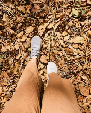 Asyalı kadın yerde altın kahverengi yapraklar üzerinde yürüyor. 