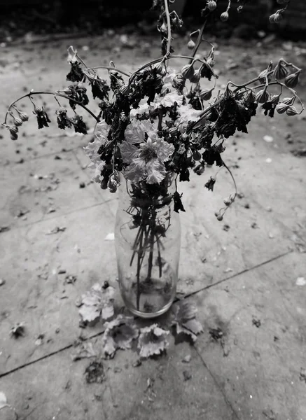 Beautiful Dried Fresh Flowers Mixing Glass Vase Outdoors — Stock Photo, Image