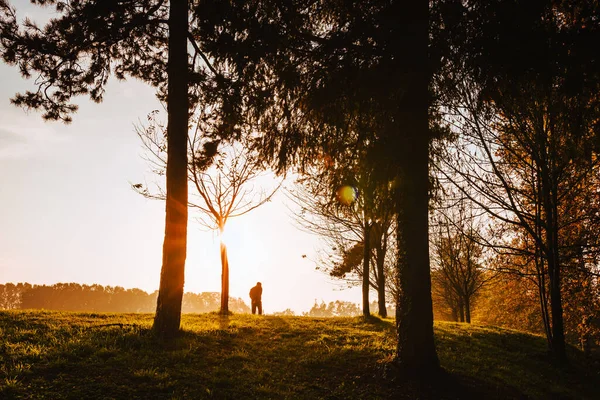 Silhueta Homem Idoso Enquanto Caminhava Uma Colina Parque Monza Outono — Fotografia de Stock