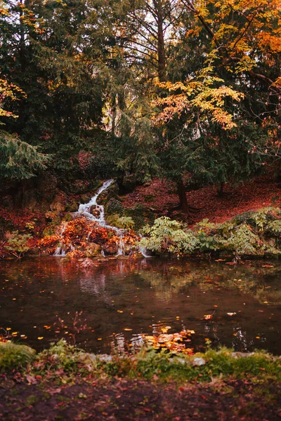 イタリア モンツァ公園の紅葉に覆われた池のある小さな滝 — ストック写真