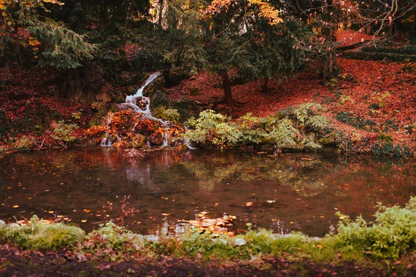 Malý Vodopád Rybníkem Pokrytý Podzimními Listy Parku Monza Itálie — Stock fotografie