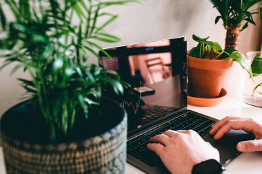 Adam, iş yerindeki yeşil bitkilerle finansal (ticaret) grafiklerine bakarken arkadan iş yapıyor.