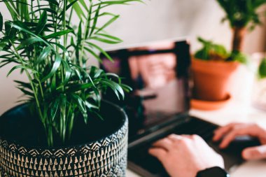 Adam, iş yerindeki yeşil bitkilerle finansal (ticaret) grafiklerine bakarken arkadan iş yapıyor.