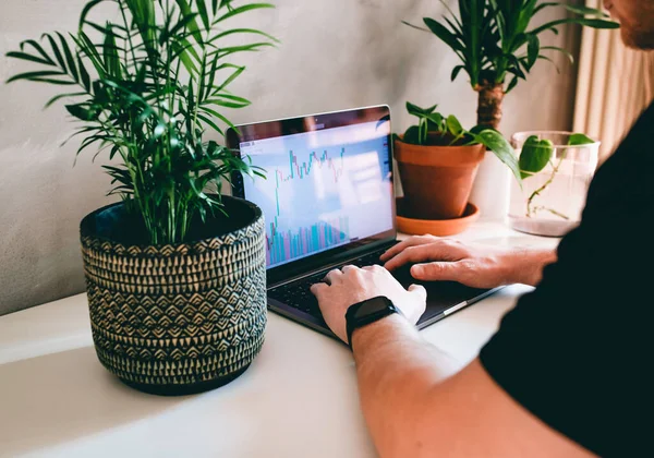 Adam, iş yerindeki yeşil bitkilerle finansal (ticaret) grafiklerine bakarken arkadan iş yapıyor.