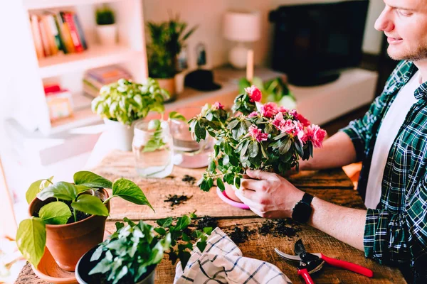 Jonge Man Terwijl Hij Zorgt Voor Roze Azalea Bloemen Rustieke — Stockfoto