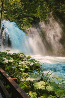 Marmore, İtalya - 19 Ağustos 2025: İkonik Marmore şelalesi ve çevreleyen ormanın yer aldığı geniş yaz manzarası.