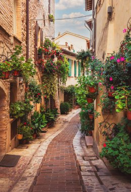 Spello, İtalya - 18 Ağustos 2025: Yeşillik yeşil bitkiler ve çiçeklerle kaplı büyüleyici kaldırım taşı şeridi sıcak taş binalara karşı, seyahat ve yaşam tarzı tasvirleri için mükemmel.