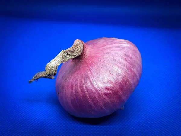 Cipolla Rossa Isolata Sfondo Blu Focus Selettivo — Foto Stock