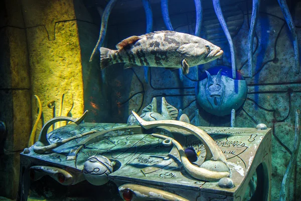 Lost Chambers Aquarium Aquaventure Waterpark Atlantis Hotel Palm Acquario Tema — Foto Stock