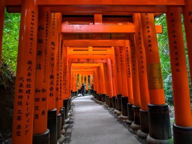 Japonya, Kyoto 'daki Fushimi Inari Tapınağı' nın Torii Kapıları.