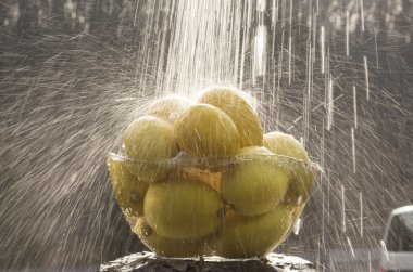 limon bir plaka su rengi limon dilimleri