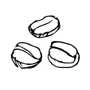   Birkaç kavrulmuş kahve çekirdeğinin taslağı. Vektör illüstrasyonu. 