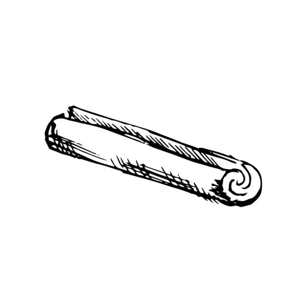 Sketch Cinnamon Stick Vector Illustration — Stock Vector