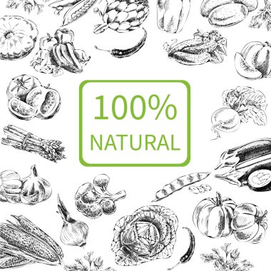 Sebzeli el çizimi vektör çizimi. Klasik tarzda bir eskiz. Tasarım şablonu.