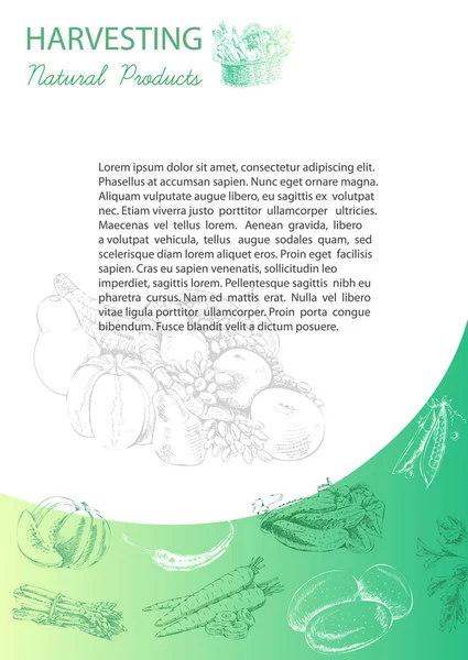 El çizimi kurumsal şablon sebzeli. Eski model. Çizim.