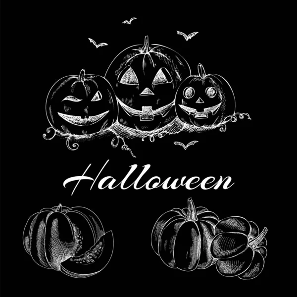 Siyah bir karatahtanın üzerinde cadılar bayramı el yapımı klasik çizimler seti. Pumpkins vektör çizimi yapıyor. Sonbahar kabağı hasadı. 