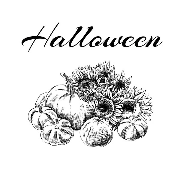 Ilustración Halloween Calabazas Girasoles Ilustración Vectorial Boceto Agricultura Dibujada Mano — Vector de stock