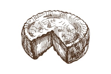 Hand drawn vintage sketch of round cheese wheel with cut slice. Retro dairy illustration perfect for packaging, menu design, farm branding, cheese shop labels, and rustic food projects.