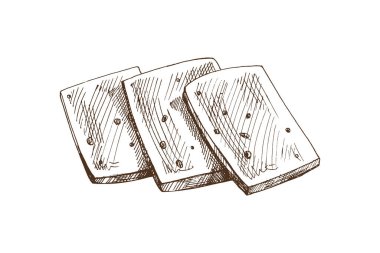 Elle çizilmiş peynir dilimleri eskizi. Rustik süt ürünleri tasarımı ambalaj, menü tasarımı, tarım markaları, peynir dükkanı etiketleri, Akdeniz ve geleneksel mutfak projeleri için mükemmeldir..