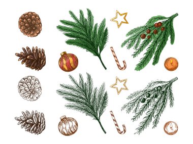 Hand drawn vintage sketch set of christmas pine branches, cones, baubles, stars, candies and candles in color and monochrome version. Perfect for festive decor and design projects.
