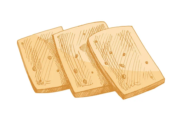 Krem sarısı tonda dilimlenmiş peynirin el yapımı klasik çizimi. Restoran menüsü tasarımı, market markalaşması, ambalaj ve mutfak dekorasyonu için ayrıntılı süt ürünleri çizimi.