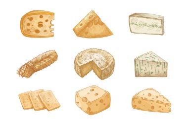 Elle çizilmiş klasik peynir seti. İçinde delikleri ve dokusu ılık sarı ve yeşil tonlarda olan çeşitli tipler var. Ambalaj, market veya mutfak tasarımı için kırsal süt ürünleri çizimi.