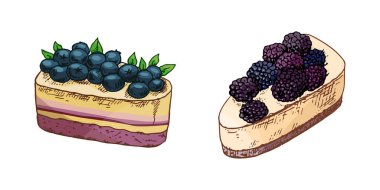 Lezzetli yaban mersini ve böğürtlenli cheesecake dilimlerinin yumuşak pastel renklerde el yapımı vintage çizimi. Fırın tasarımı, kafe menüsü, ambalaj kağıdı, ambalaj, tekstil baskısı ve şekerleme markası için mükemmel..