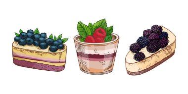 Çeşit çeşit böğürtlenli tatlılar, yabanmersinli cheesecake, ahudududulu kek ve pastalı böğürtlenli kekin el çizimi.. 