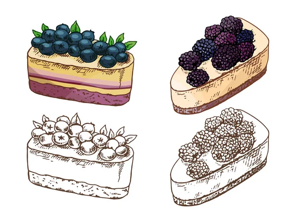 Yaban mersini ve böğürtlenli cheesecake dilimlerinin renkli ve tek renkli halinin el çizimi. Fırın tasarımı, menü dekorasyonu, ambalaj kağıdı, ambalaj kağıdı, tekstil baskısı ve şekerleme markası için mükemmel..