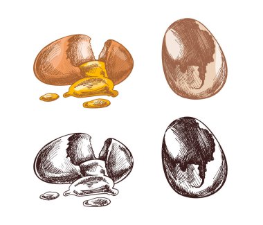 El yapımı klasik yumurta ve yumurtanın rengarenk ve tek renkli kabartma şeklinde akması. Menü grafikleri, yemek kitabı düzeni, restoran markalaşması ve yemek temalı tasarım için uygun mutfak malzemesi çizimi.