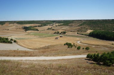 İspanya 'da yaz arazileri