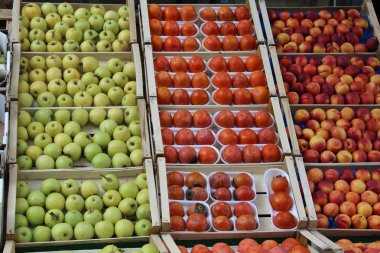 elma, persimmons, şeftali