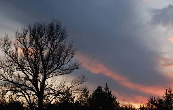 아름다운 석양과 하늘의 — 스톡 사진