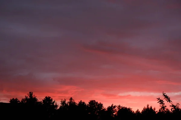 Прекрасный Малиновый Закат Облачный Фон Красных Цветах — стоковое фото