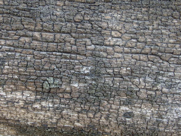 Verwitterter Holz Textur Hintergrund Horizontale Nahaufnahme — Stockfoto